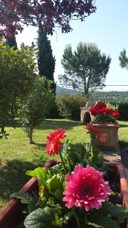 Agriturismo Il Catrino Ponteginori Exteriér fotografie