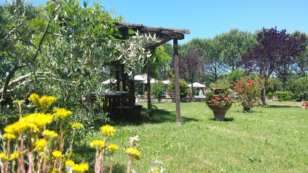 Agriturismo Il Catrino Ponteginori Exteriér fotografie