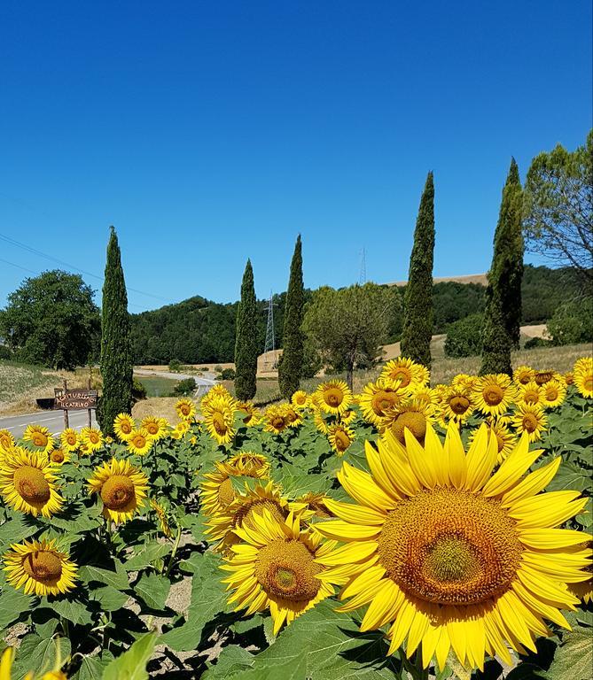Agriturismo Il Catrino Ponteginori Exteriér fotografie