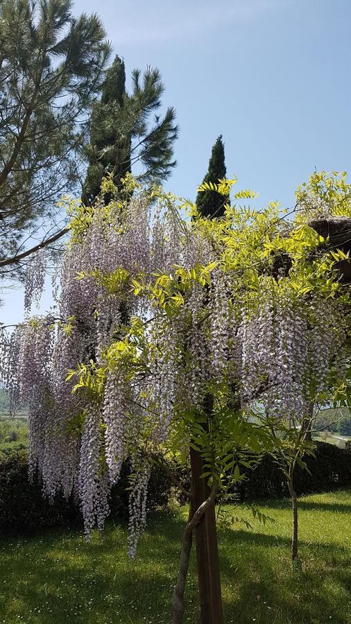 Agriturismo Il Catrino Ponteginori Exteriér fotografie