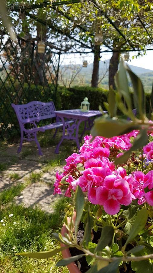 Agriturismo Il Catrino Ponteginori Exteriér fotografie