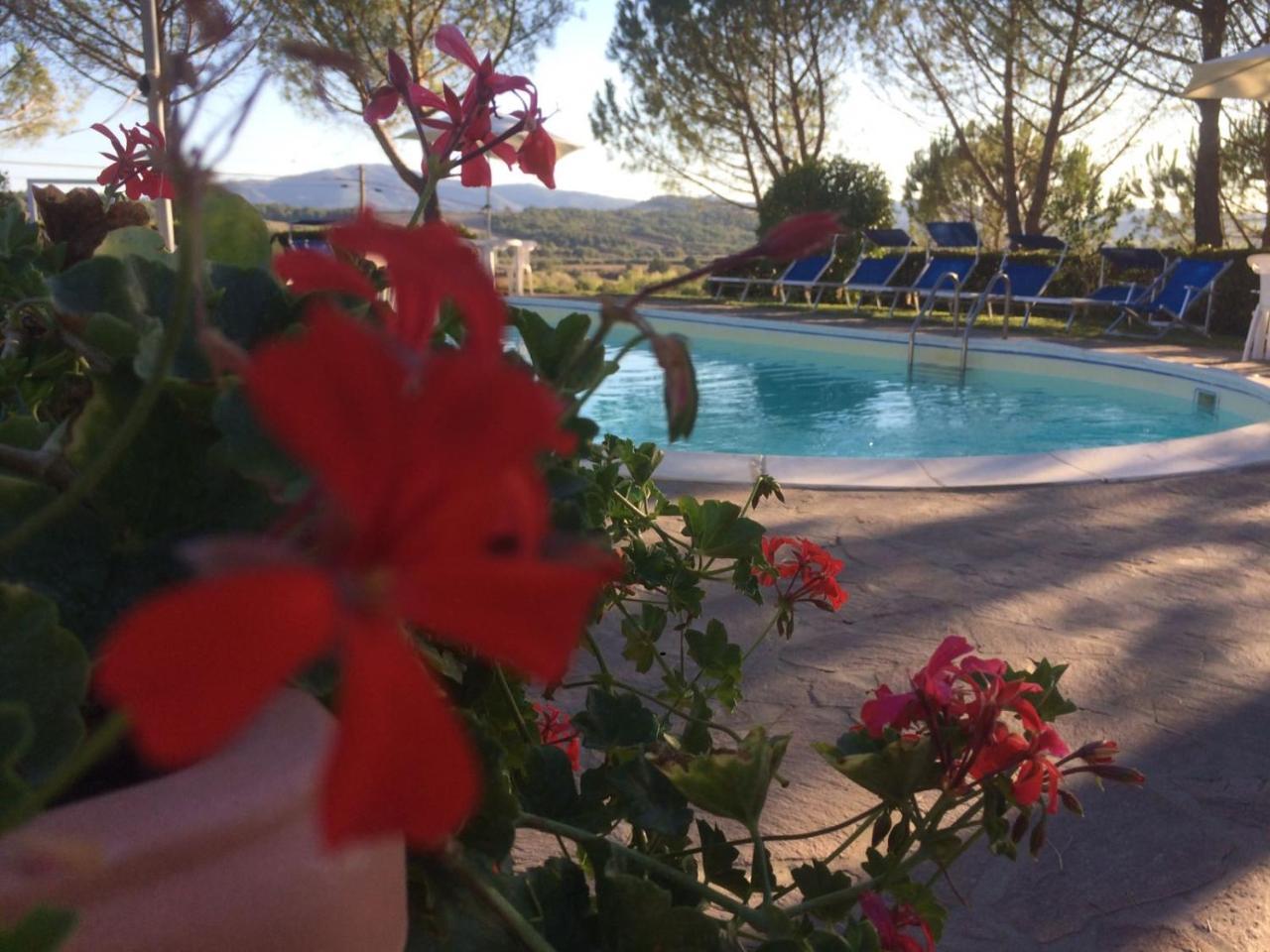 Agriturismo Il Catrino Ponteginori Exteriér fotografie